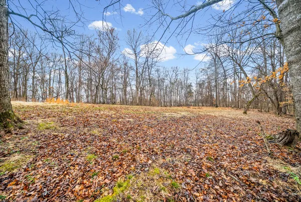 $280,000 | 5120 Roaring Springs Road, Cadiz, KY 42211