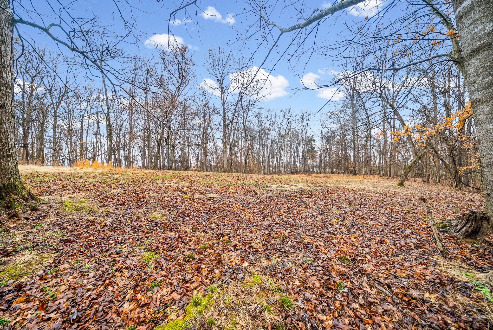 5120 Roaring Springs Road Cadiz, KY 42211 - Photo 34 of 40