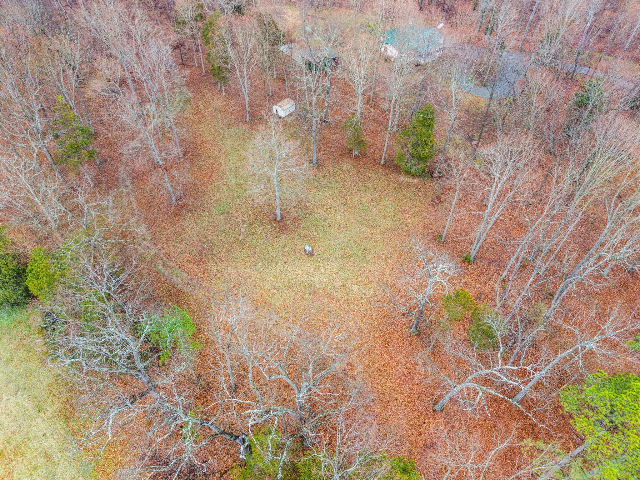 5120 Roaring Springs Road Cadiz, KY 42211 - Photo 39 of 40