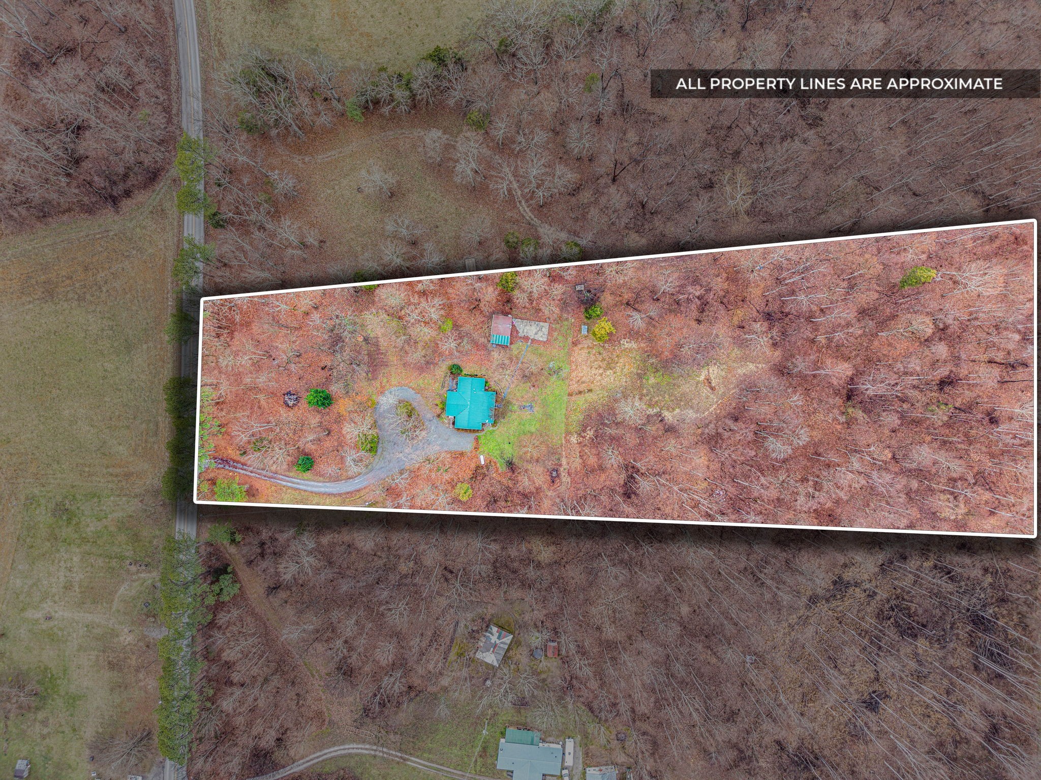 5120 Roaring Springs Road Cadiz, KY 42211 - Photo 4 of 40