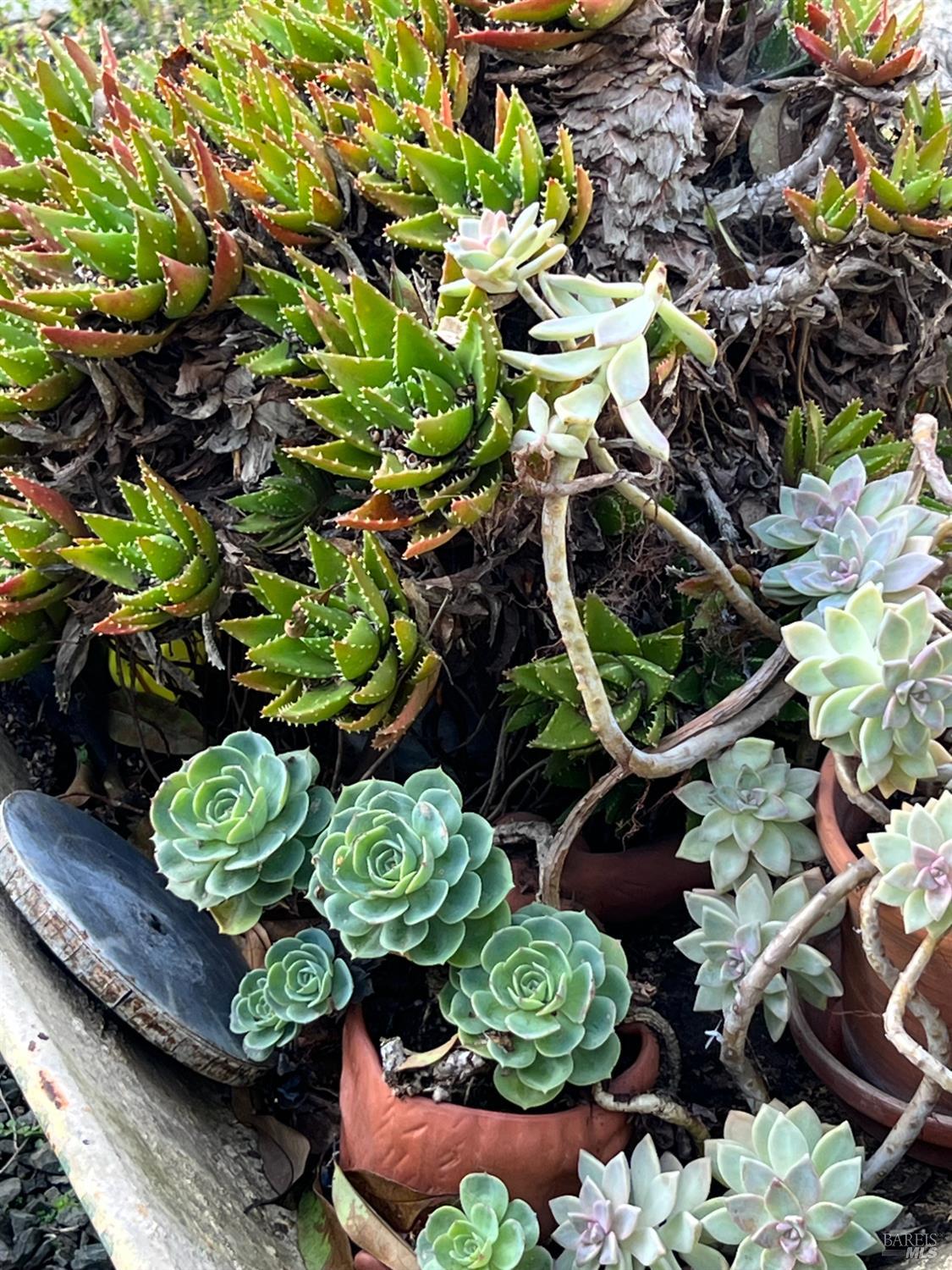 161 Bear Flag Road Sonoma, CA 95476 - Photo 23 of 55