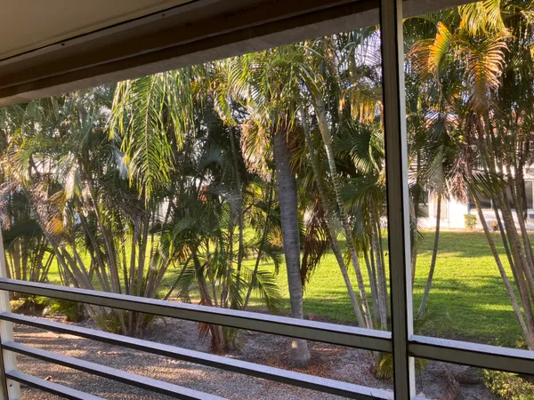 a view of backyard from a window