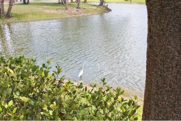 a view of a pathway of a yard