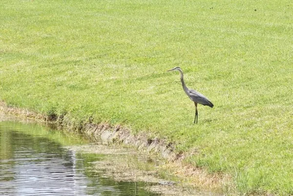 a view of a lake view