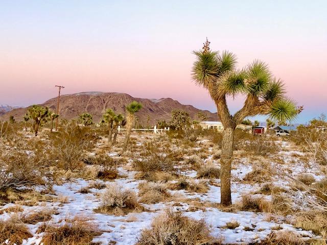 1224 Becker Road Landers, CA 92285 - Photo 1 of 13 IMG_0404