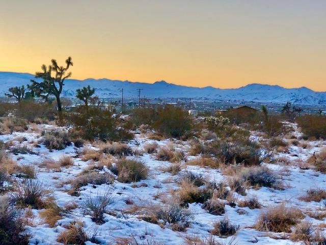 1224 Becker Road Landers, CA 92285 - Photo 5 of 13 IMG_0406