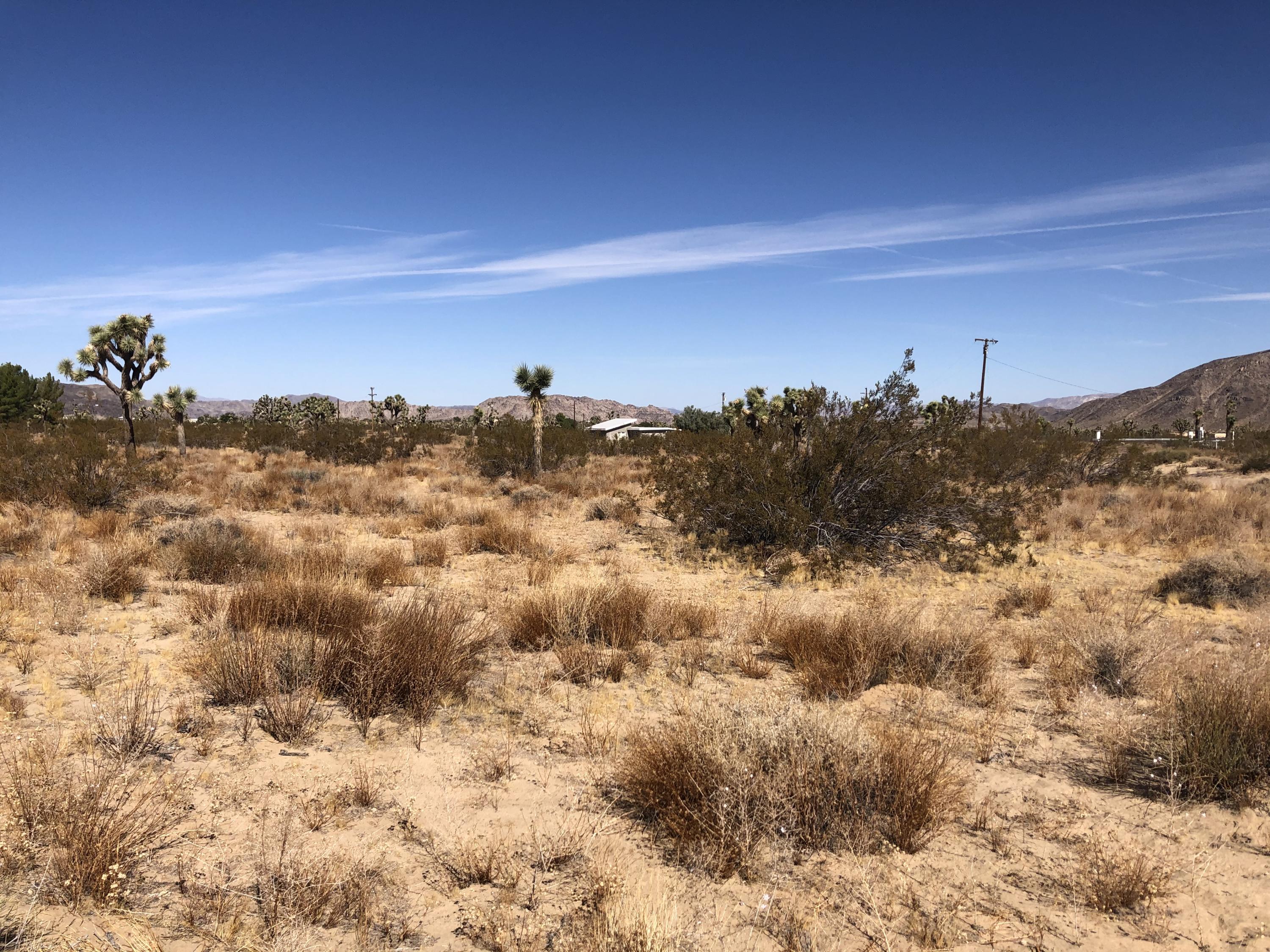 1224 Becker Road Landers, CA 92285 - Photo 7 of 13 IMG_9022