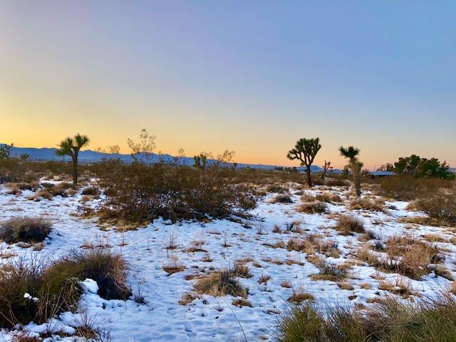 1224 Becker Road Landers, CA 92285 - Photo 8 of 13 IMG_0413