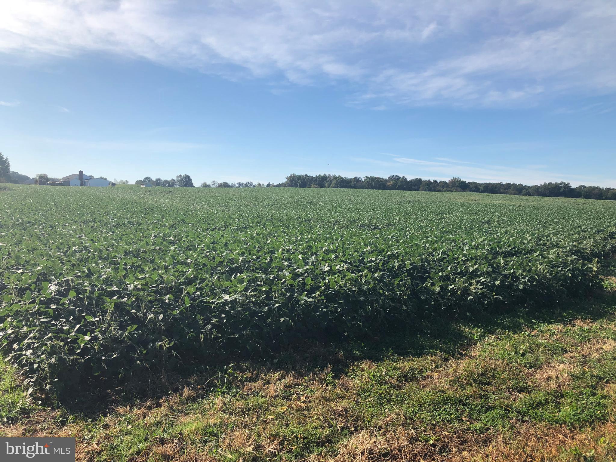 0 Crouse Road Littlestown, PA 17340 - Photo 1 of 19