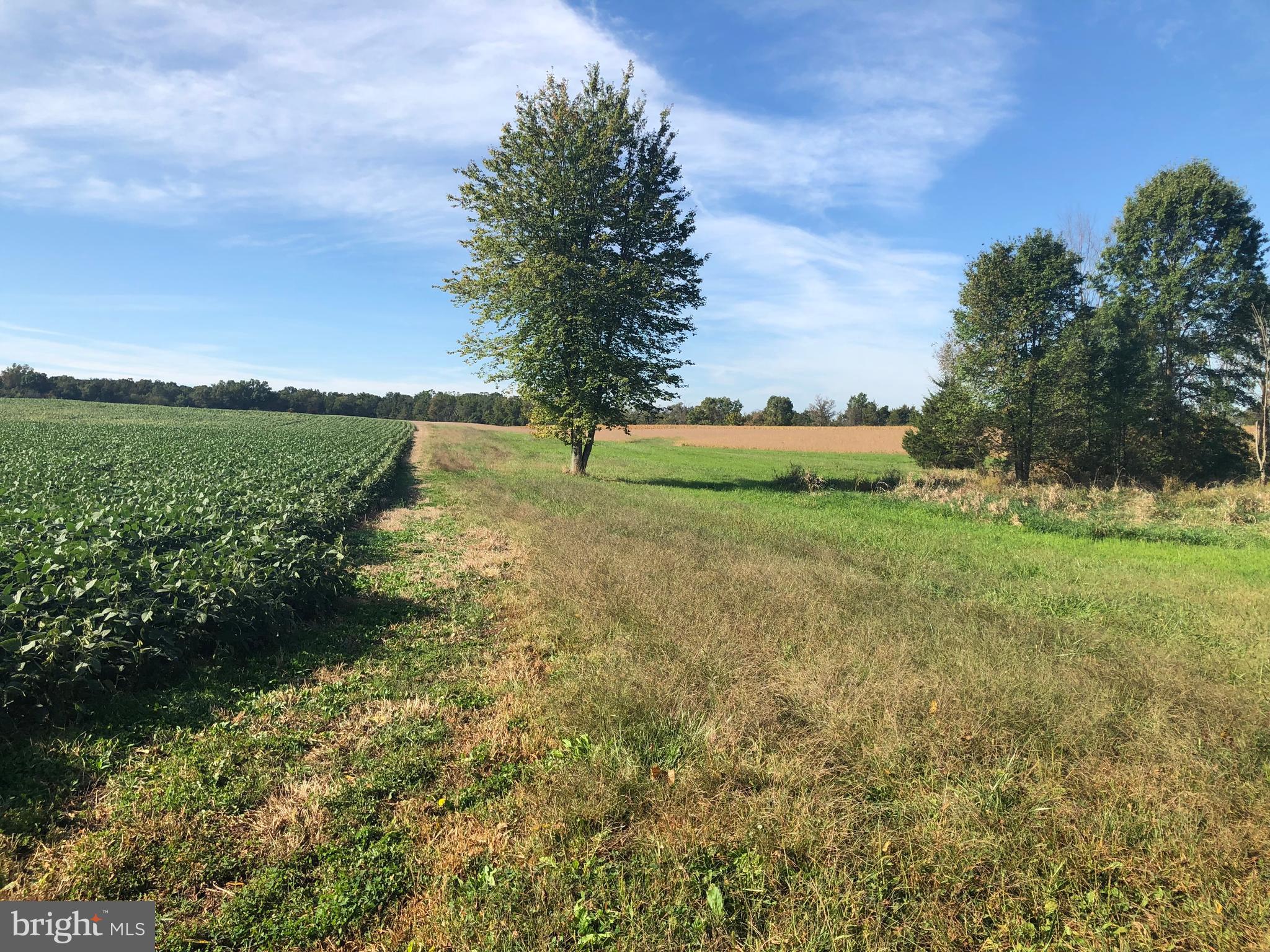0 Crouse Road Littlestown, PA 17340 - Photo 2 of 19