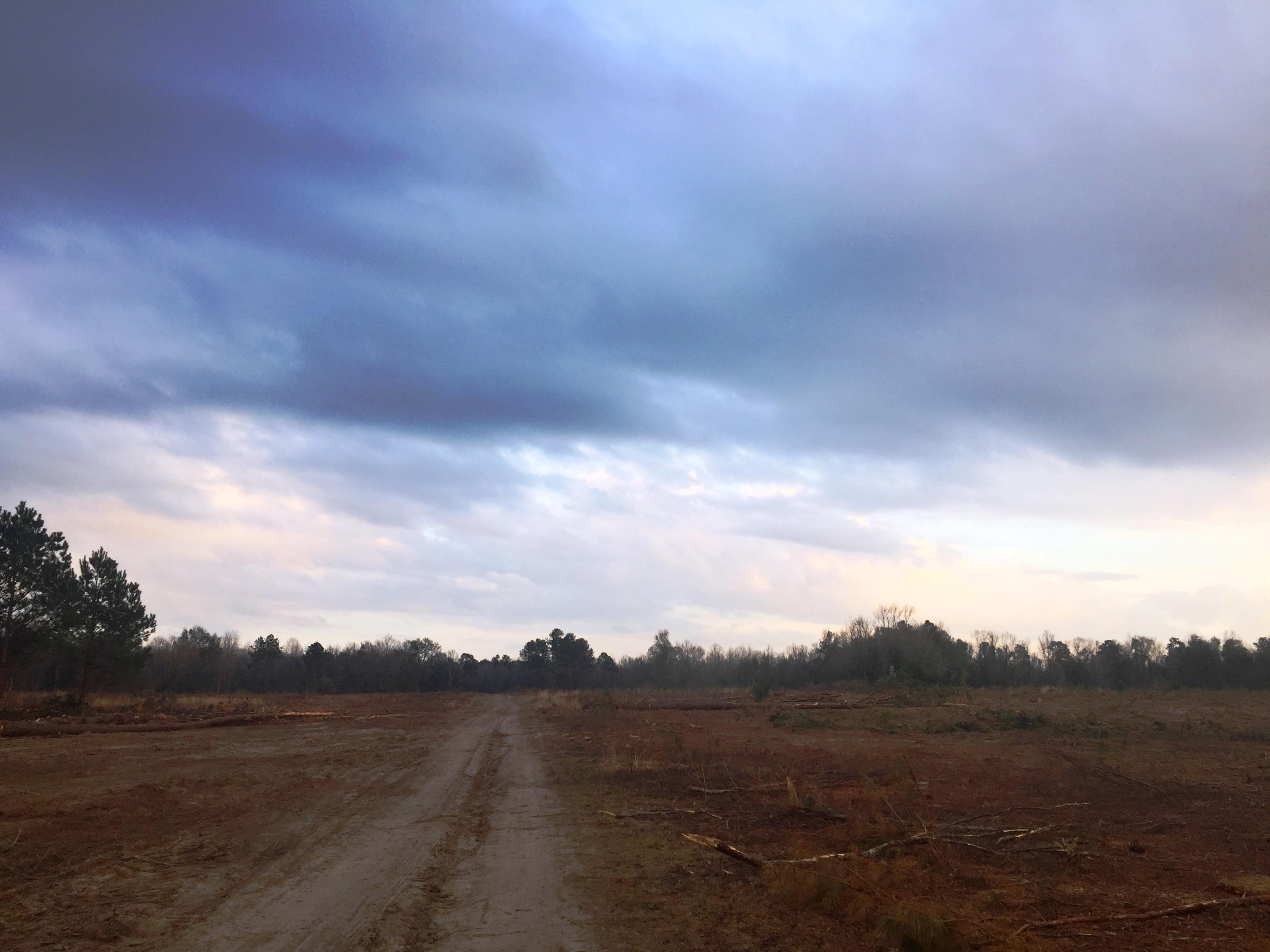 2660 Moses Dingle Road Summerton, SC 29148 - Photo 1 of 7 potato creek (1)