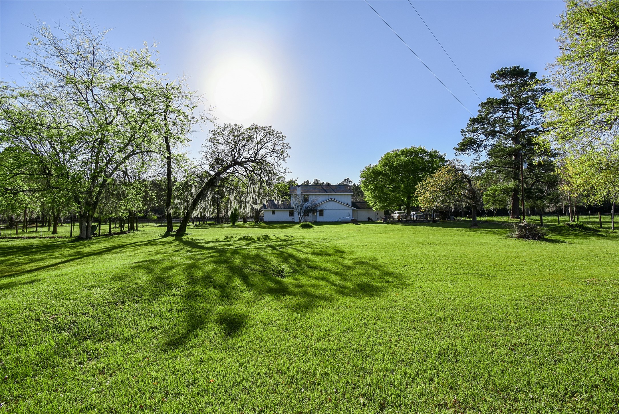 24640 Macedonia Road Hockley, TX 77447 - Photo 39 of 46 a view of yard with green space
