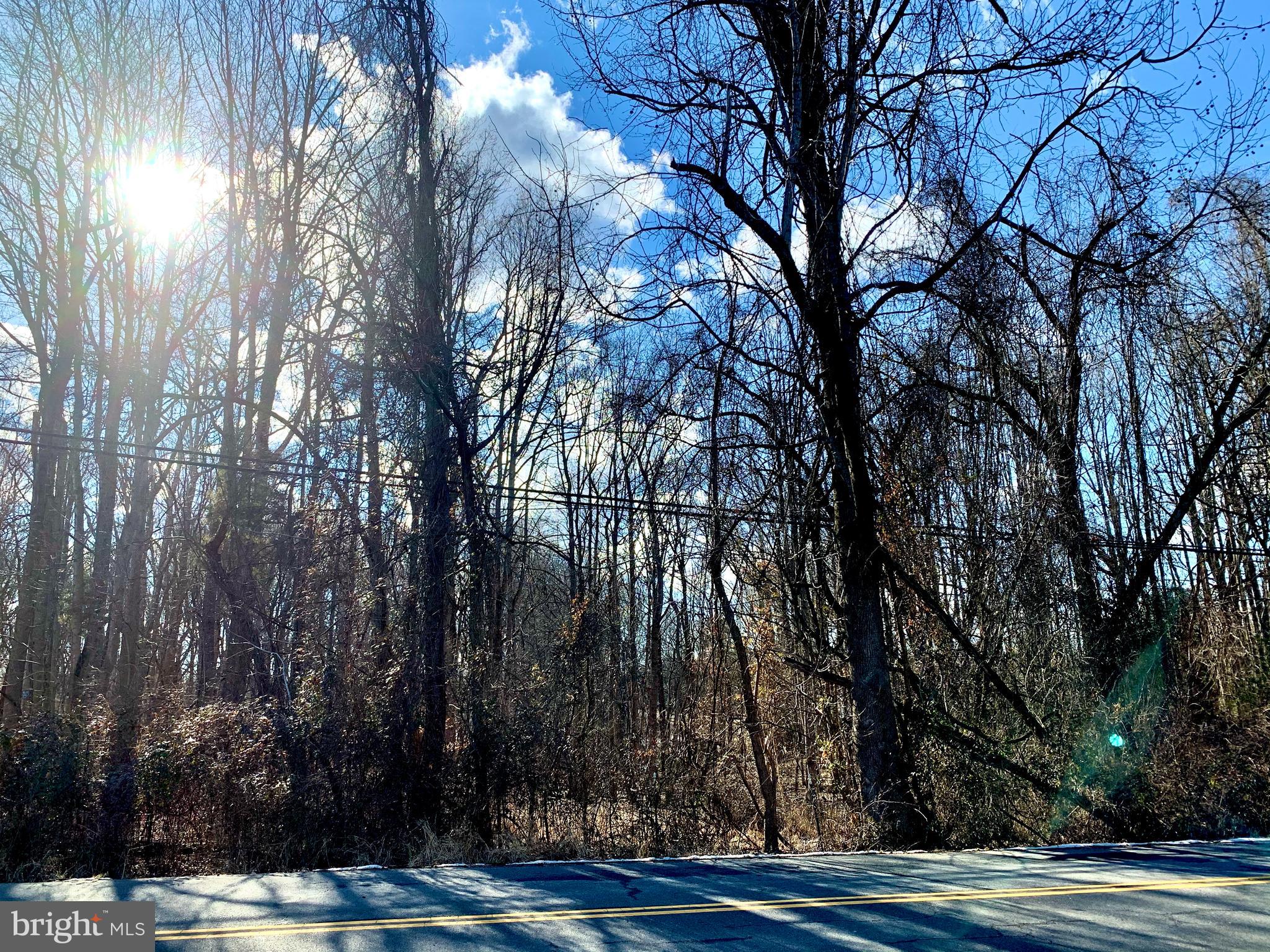 6111 Colchester Road Fairfax, VA 22030 - Photo 22 of 22 The view across the street
