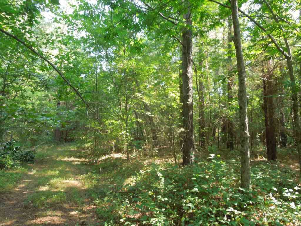 Weldon Road Louisburg, NC 27549 - Photo 2 of 15 Photo 2