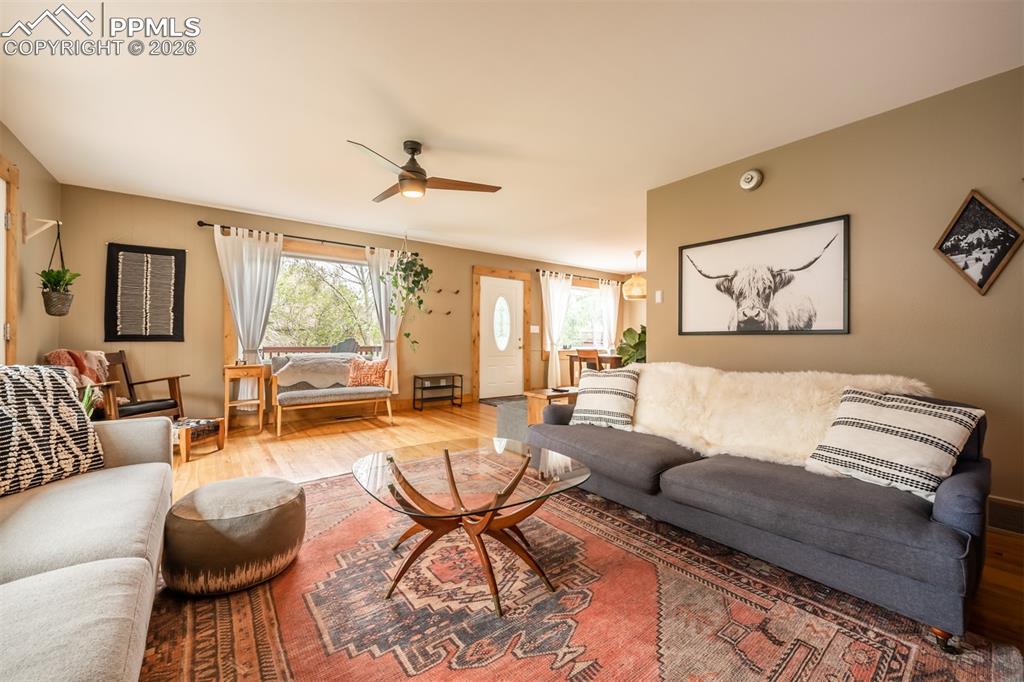 8850 Chipita Park Road Cascade, CO 80809 - Photo 20 of 50