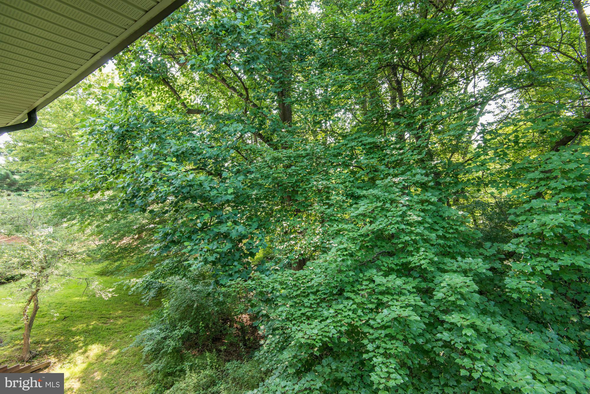 1428 Northgate Square, Unit 22C Reston, VA 20190 - Photo 22 of 30 Backs To Trees