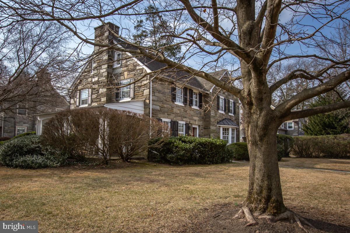 567 Manor Road Wynnewood, PA 19096 - Photo 2 of 34 a tree in a yard next to a building