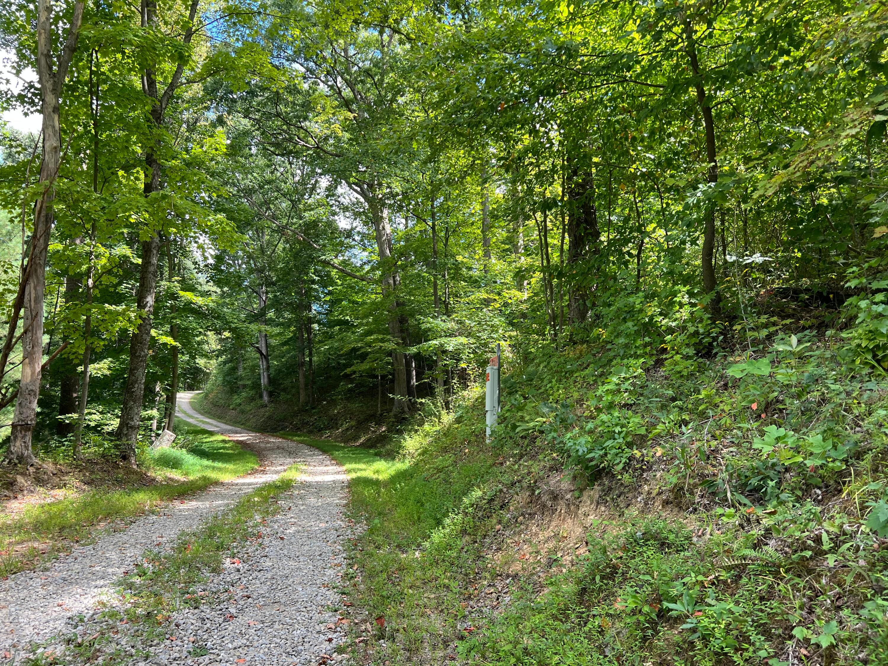 0 Election Road Laurelville, OH 43135 - Photo 23 of 33 road frontage toward driveway