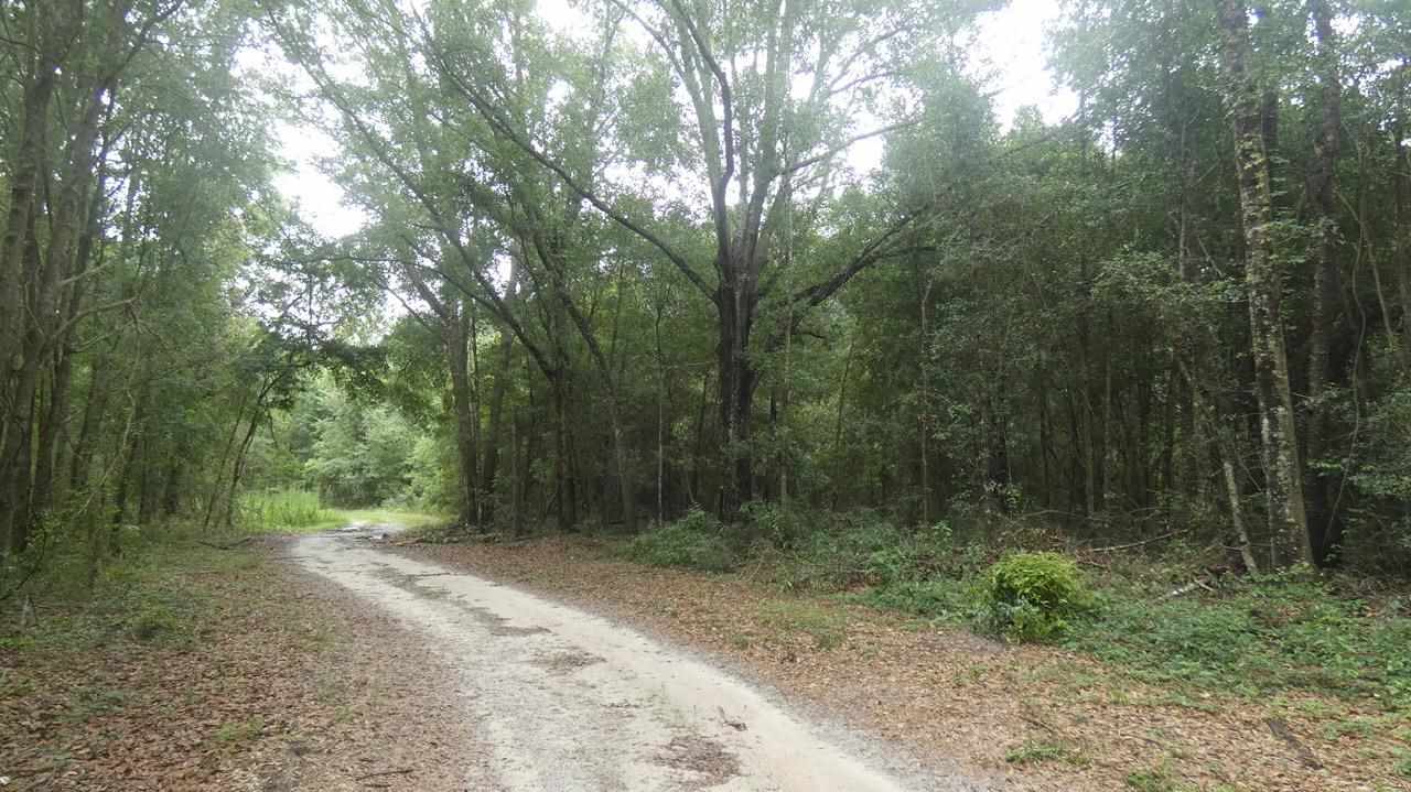 0 Lamar Road Monticello, FL 32344 - Photo 2 of 4 Gallery Image 2
