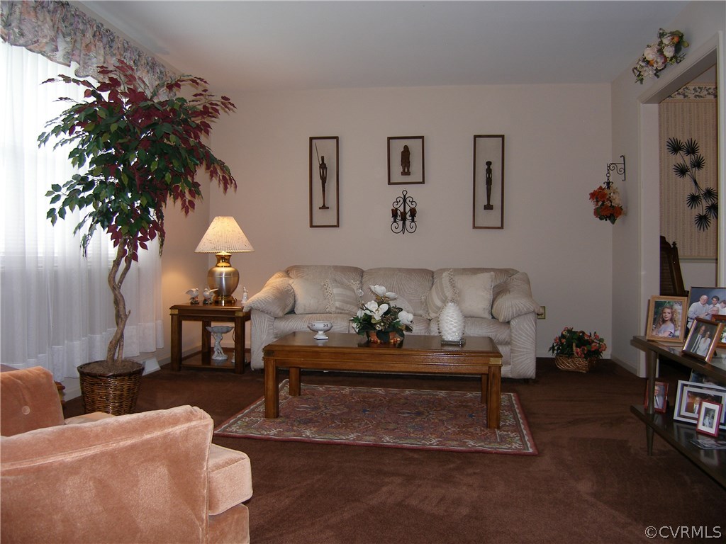 800 Whiffletree Road North Chesterfield, VA 23236 - Photo 19 of 47 Living Room: Carpet, Large Window on the Front of