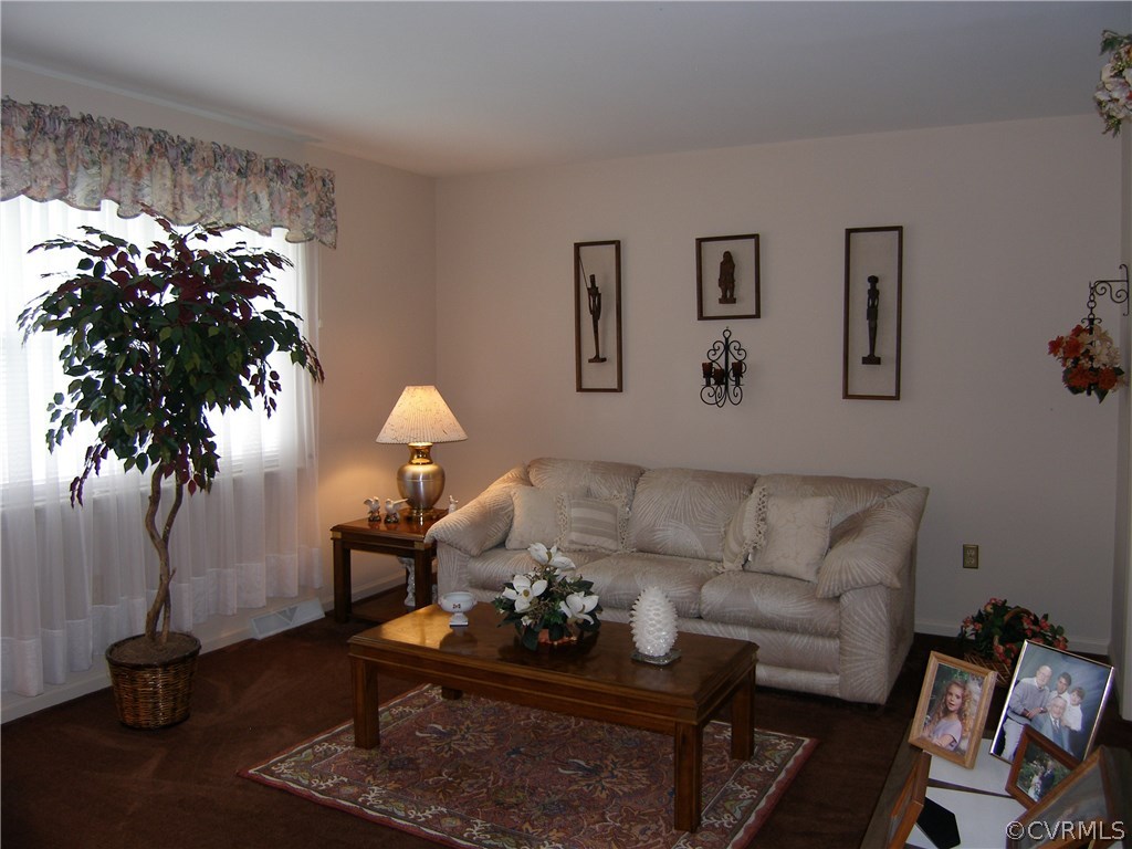 800 Whiffletree Road North Chesterfield, VA 23236 - Photo 20 of 47 Living Room: Carpet, Large Window
