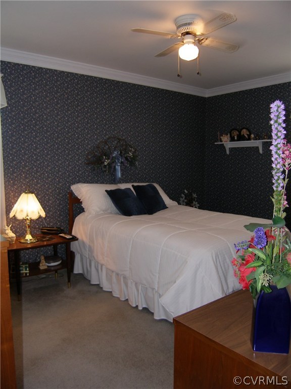 800 Whiffletree Road North Chesterfield, VA 23236 - Photo 38 of 47 Master Bedroom: Carpet/CFan/Closet