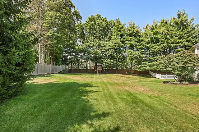 a view of yard with green space