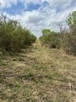 0 Blackbrush Spur Road George West, TX 78022 - Photo 7 of 11
