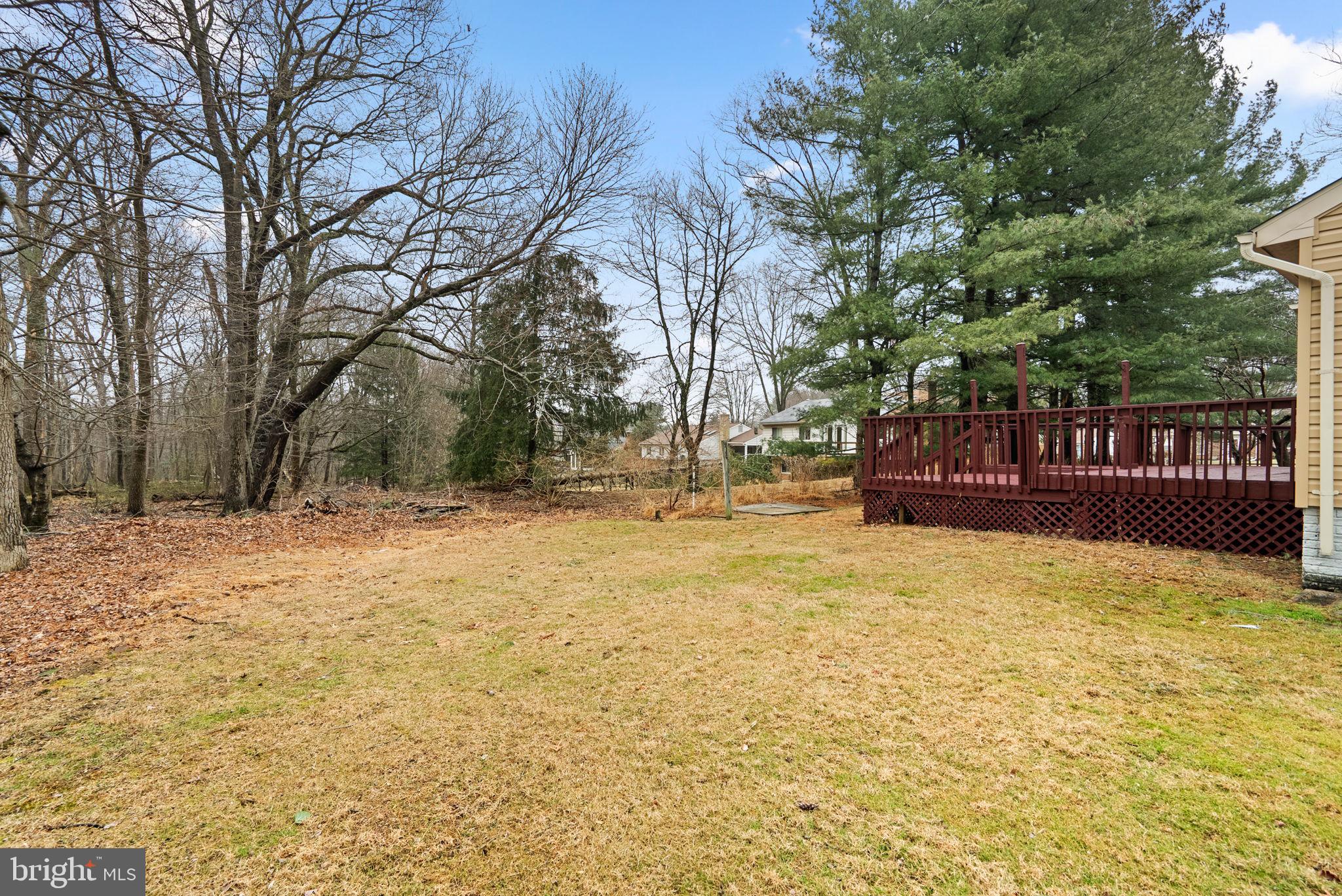 14724 Harvest Lane Silver Spring, MD 20905 - Photo 52 of 53 Backyard
