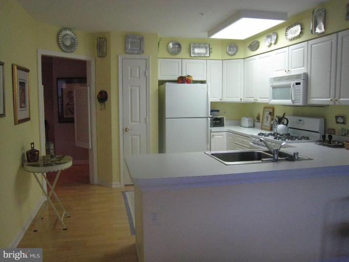 12350 Rosslare Ridge Road, Unit 201 Lutherville-Timonium, MD 21093 - Photo 3 of 19 Kitchen #2