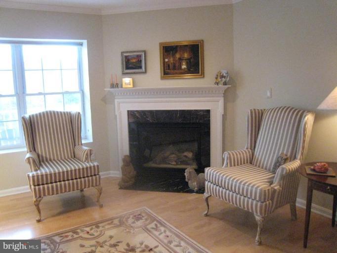 12350 Rosslare Ridge Road, Unit 201 Lutherville-Timonium, MD 21093 - Photo 6 of 19 Fireplace