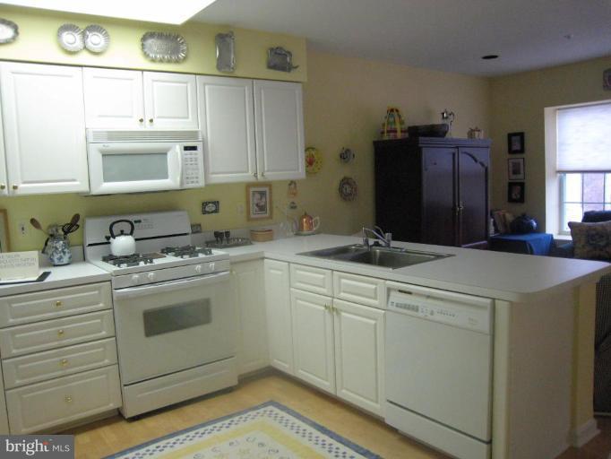 12350 Rosslare Ridge Road, Unit 201 Lutherville-Timonium, MD 21093 - Photo 8 of 19 Kitchen #3