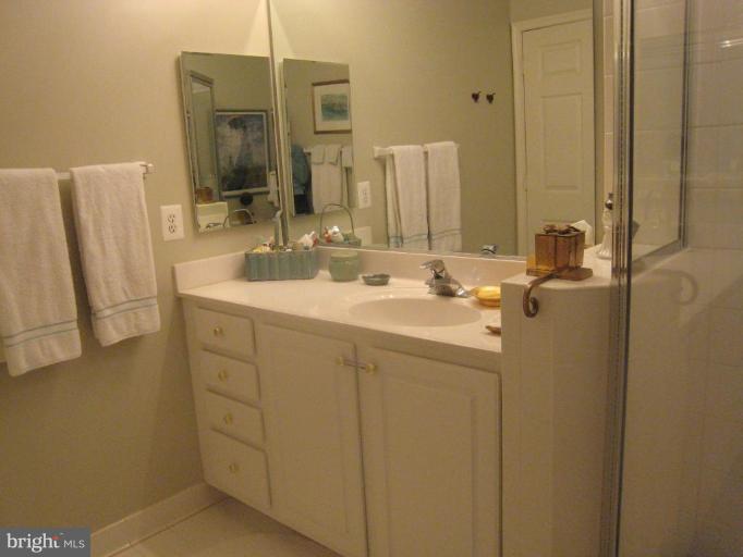 12350 Rosslare Ridge Road, Unit 201 Lutherville-Timonium, MD 21093 - Photo 10 of 19 Master Bath