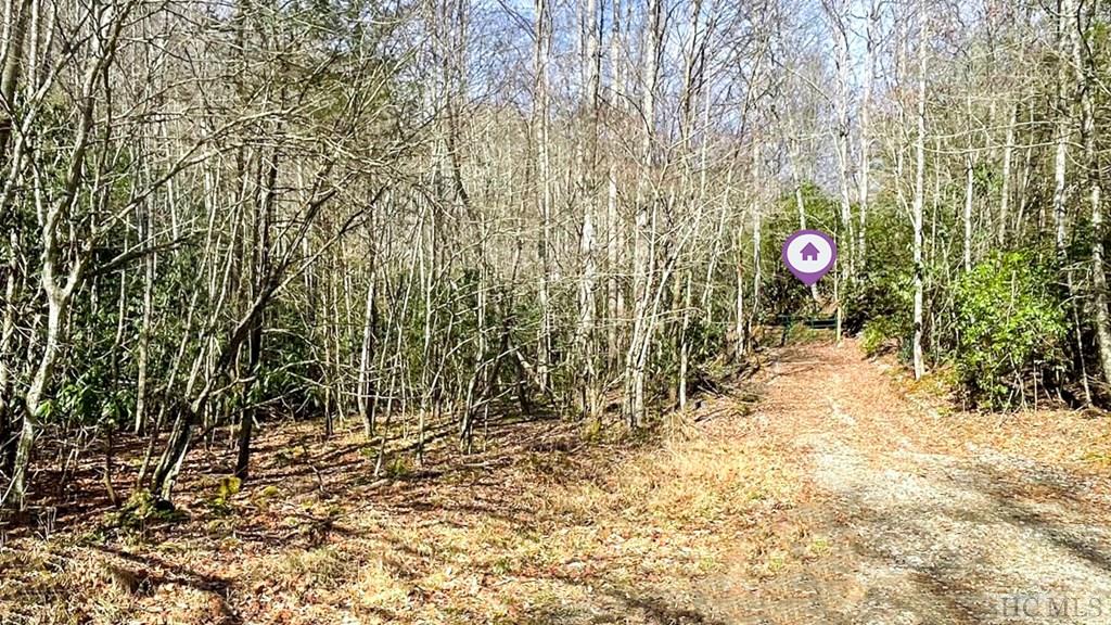0 North Skeenah Road Franklin, NC 28734 - Photo 10 of 20 Gallery Image 10
