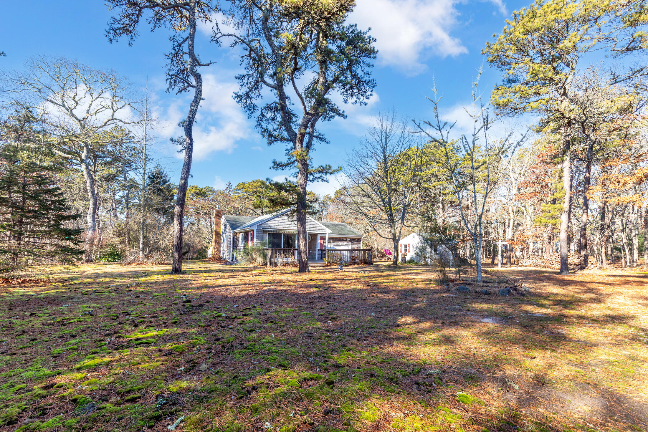 25 Forrest Avenue Eastham, MA 02642 - Photo 7 of 46 a front view of a house with a yard