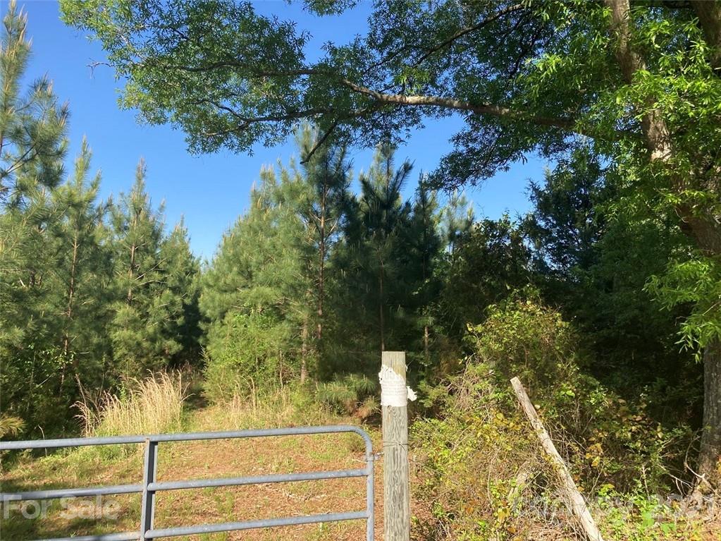 6701 Otis Crosby Road York, SC 29745 - Photo 5 of 30 Gallery Image 5