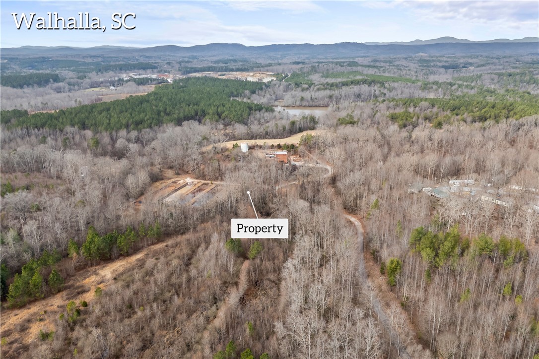 207 Water Works Road Walhalla, SC 29691 - Photo 7 of 36