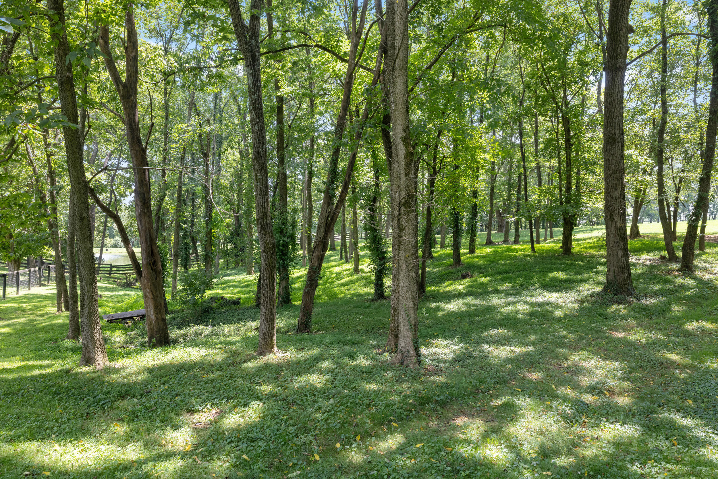 4550 Briar Hill Road Lexington, KY 40516 - Photo 81 of 93 68_1h4a1498