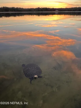 $400,000 | 113 Stock Avenue, Interlachen, FL 32148