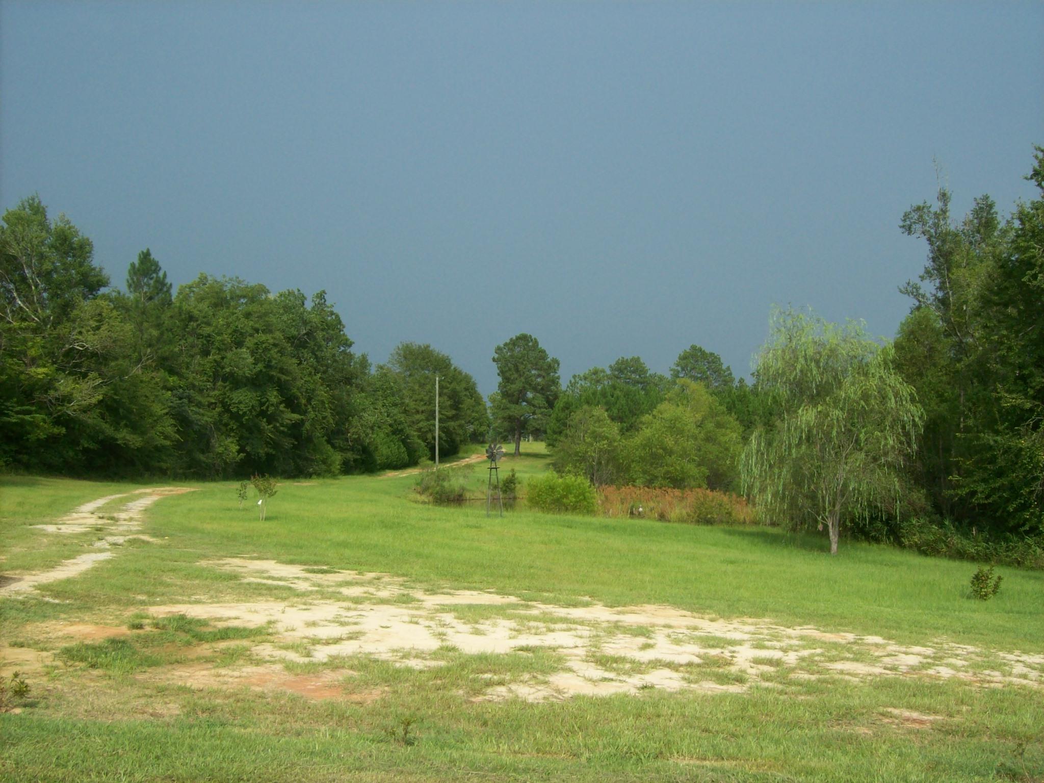 8130 Jordan Road Baker, FL 32531 - Photo 32 of 61 a view of a grassy field with an trees