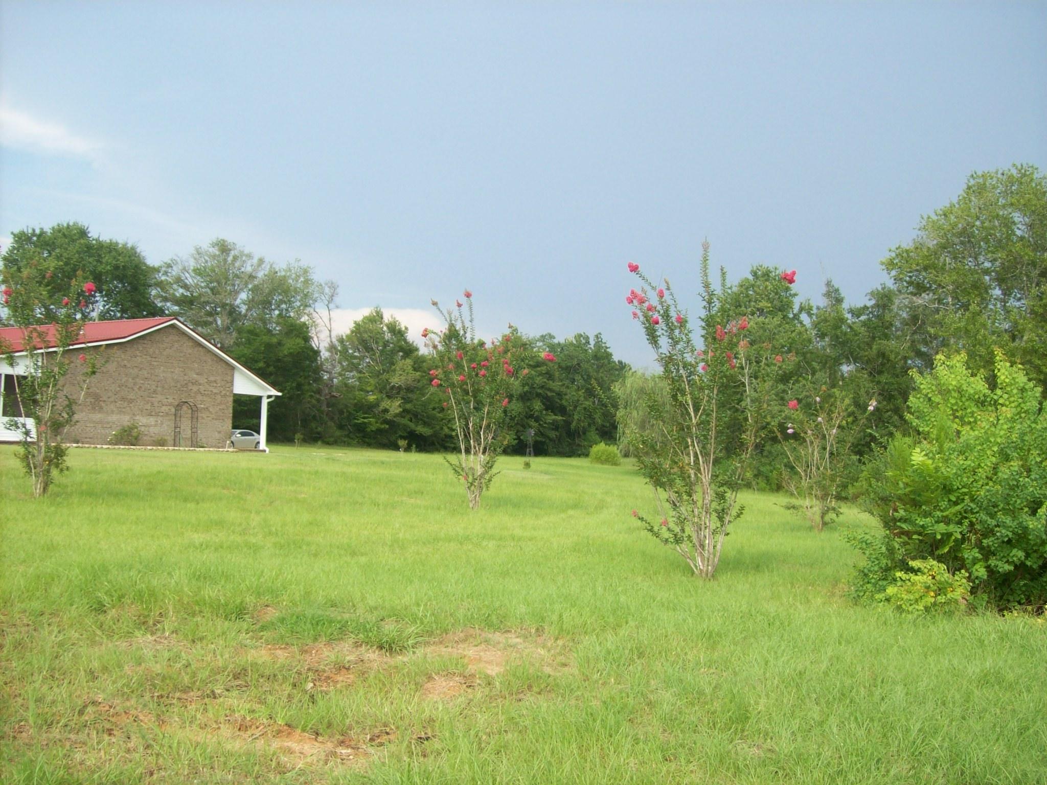 8130 Jordan Road Baker, FL 32531 - Photo 42 of 61 a backyard of a house with lots of green space