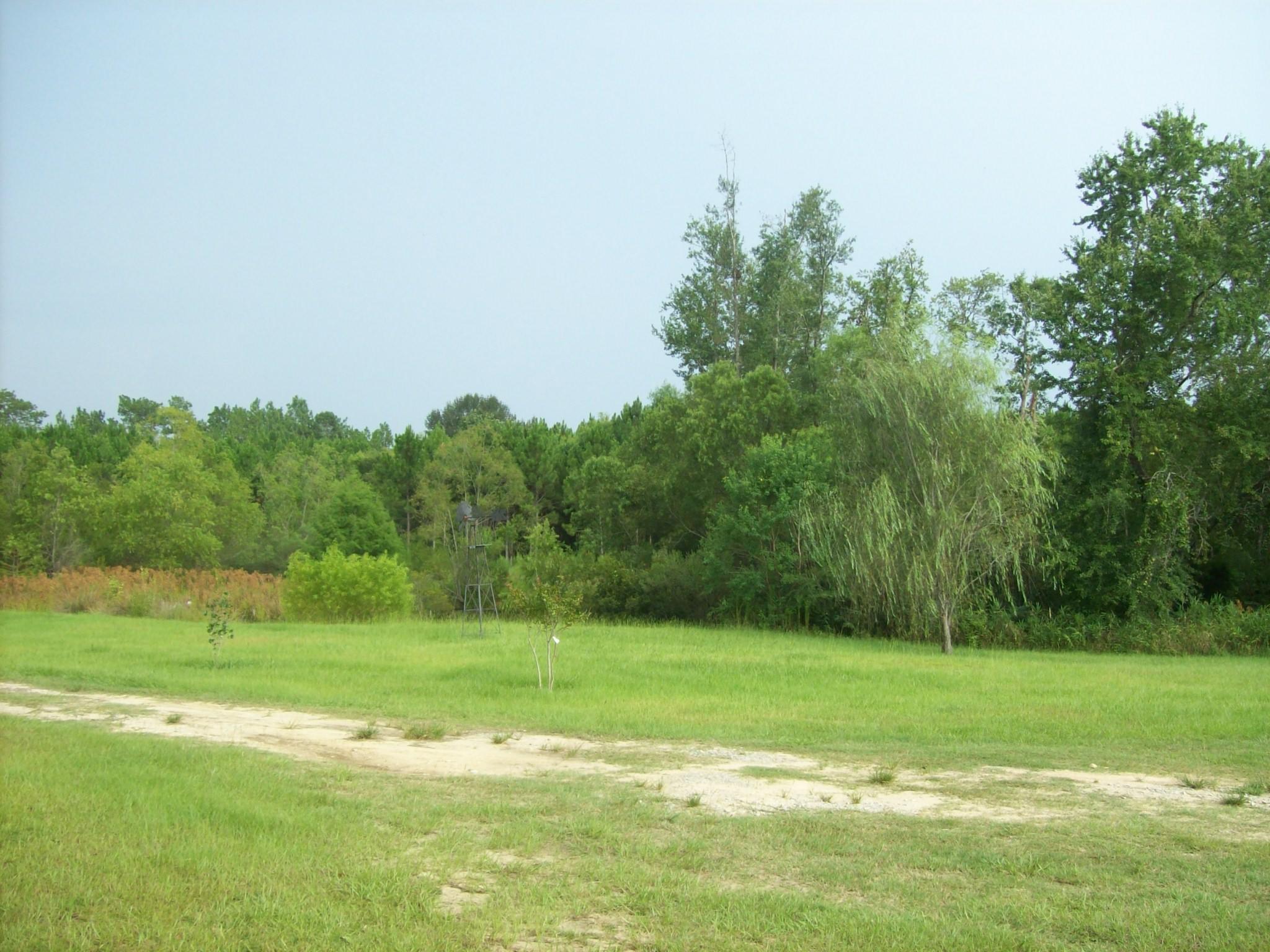 8130 Jordan Road Baker, FL 32531 - Photo 47 of 61 a view of a golf course with a lake