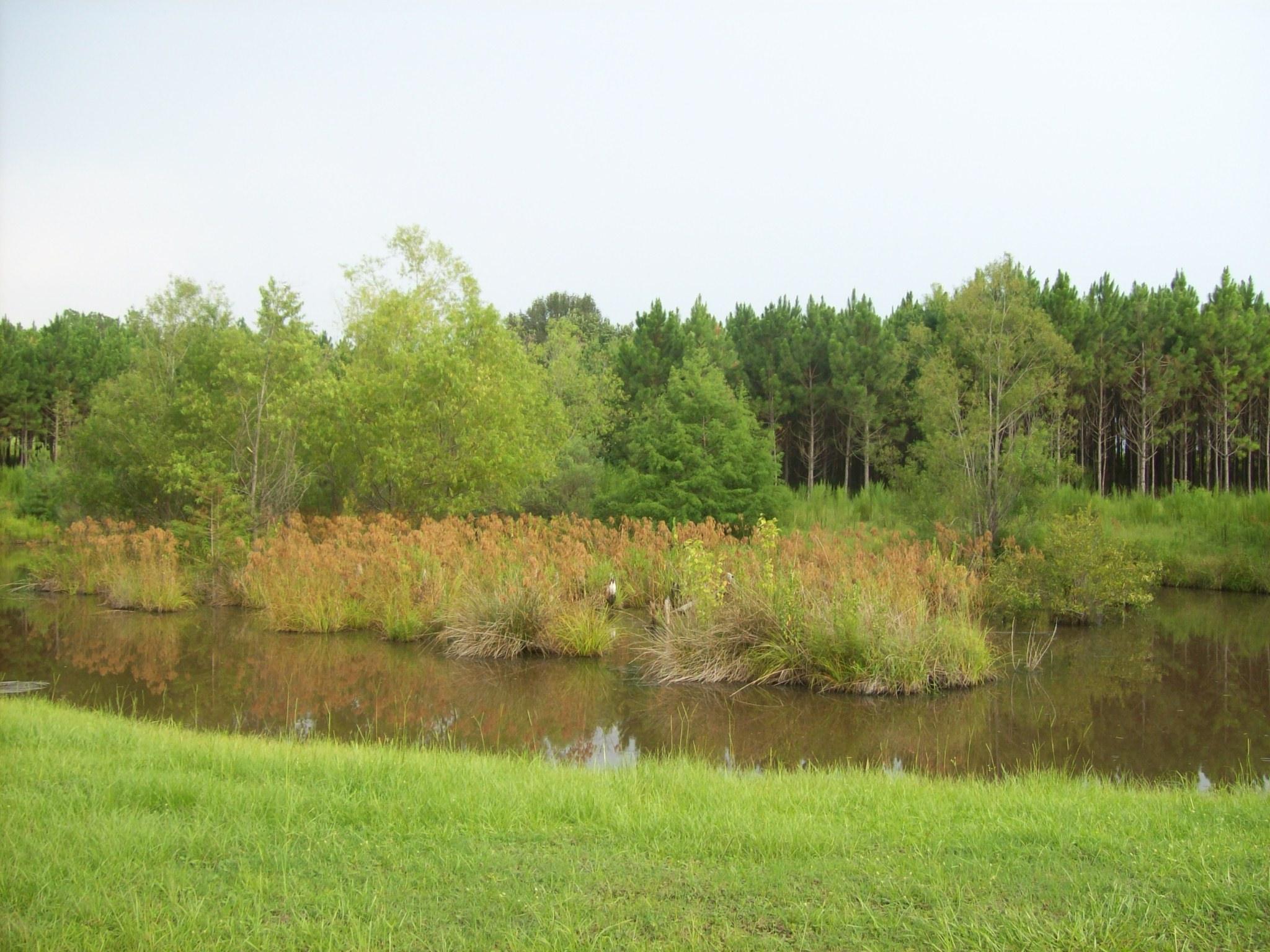 8130 Jordan Road Baker, FL 32531 - Photo 52 of 61