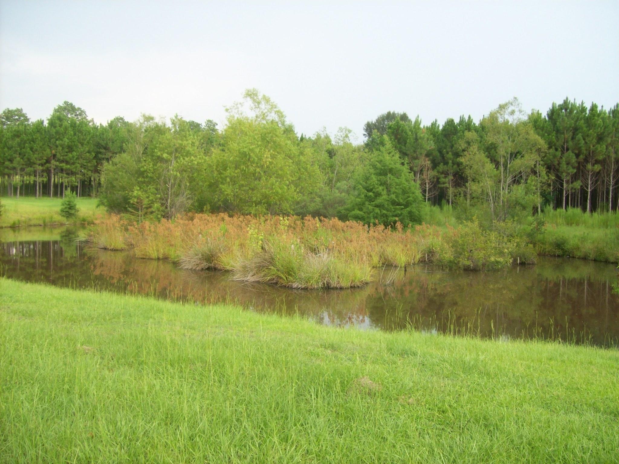 8130 Jordan Road Baker, FL 32531 - Photo 53 of 61 a view of a lake with houses in the back