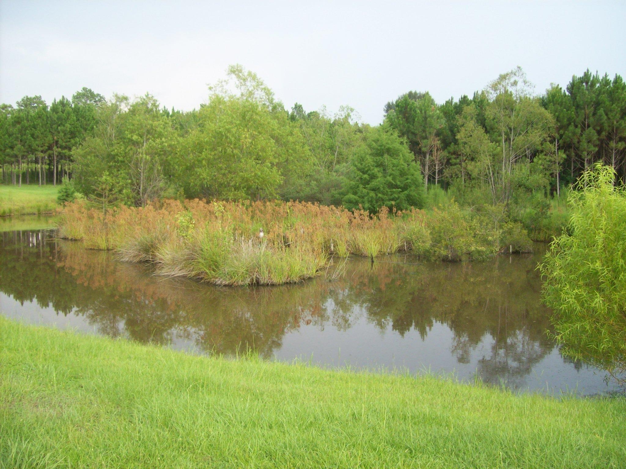 8130 Jordan Road Baker, FL 32531 - Photo 54 of 61 a view of a lake with houses in the back