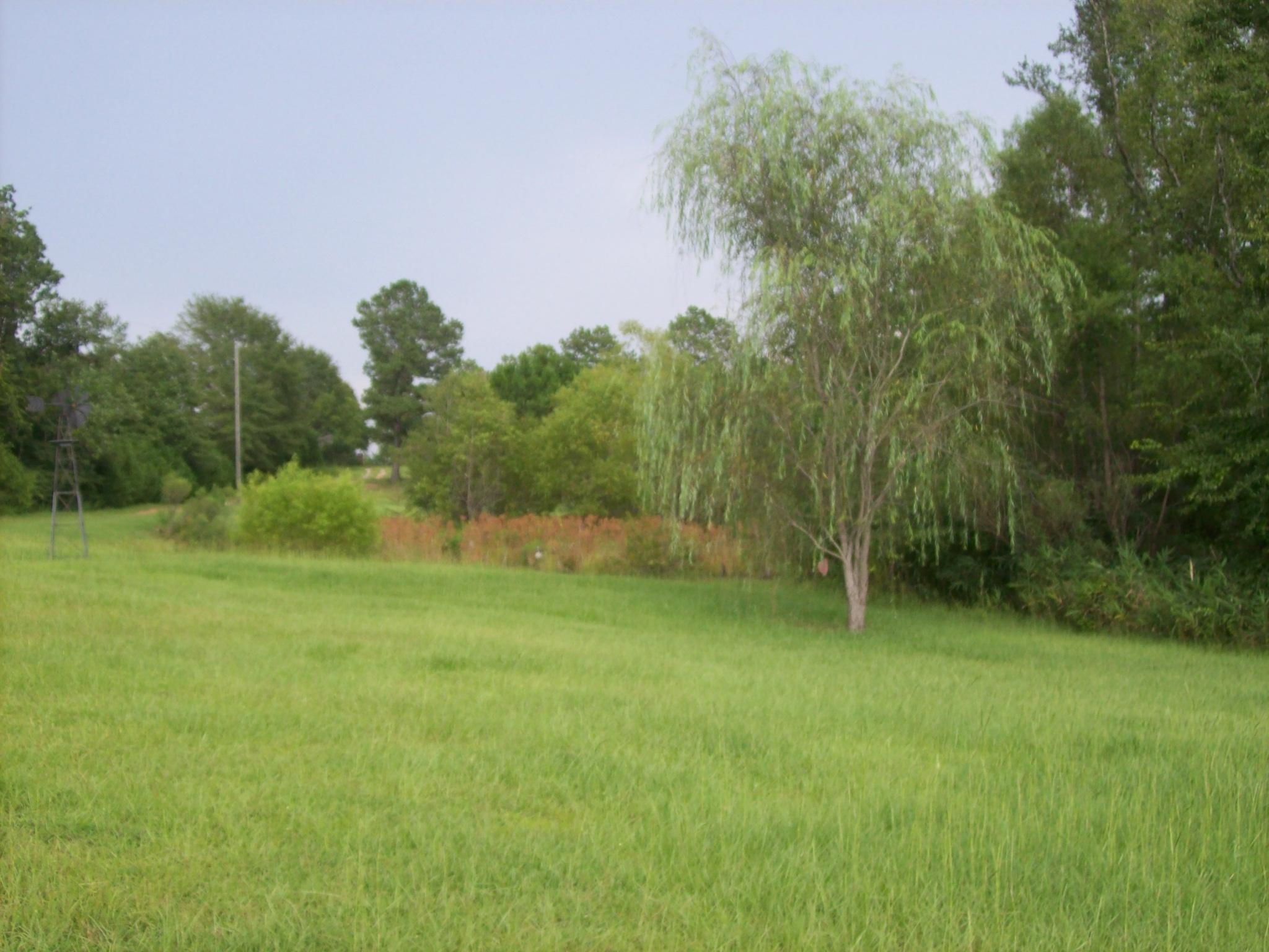 8130 Jordan Road Baker, FL 32531 - Photo 55 of 61 a view of a field of grass and trees