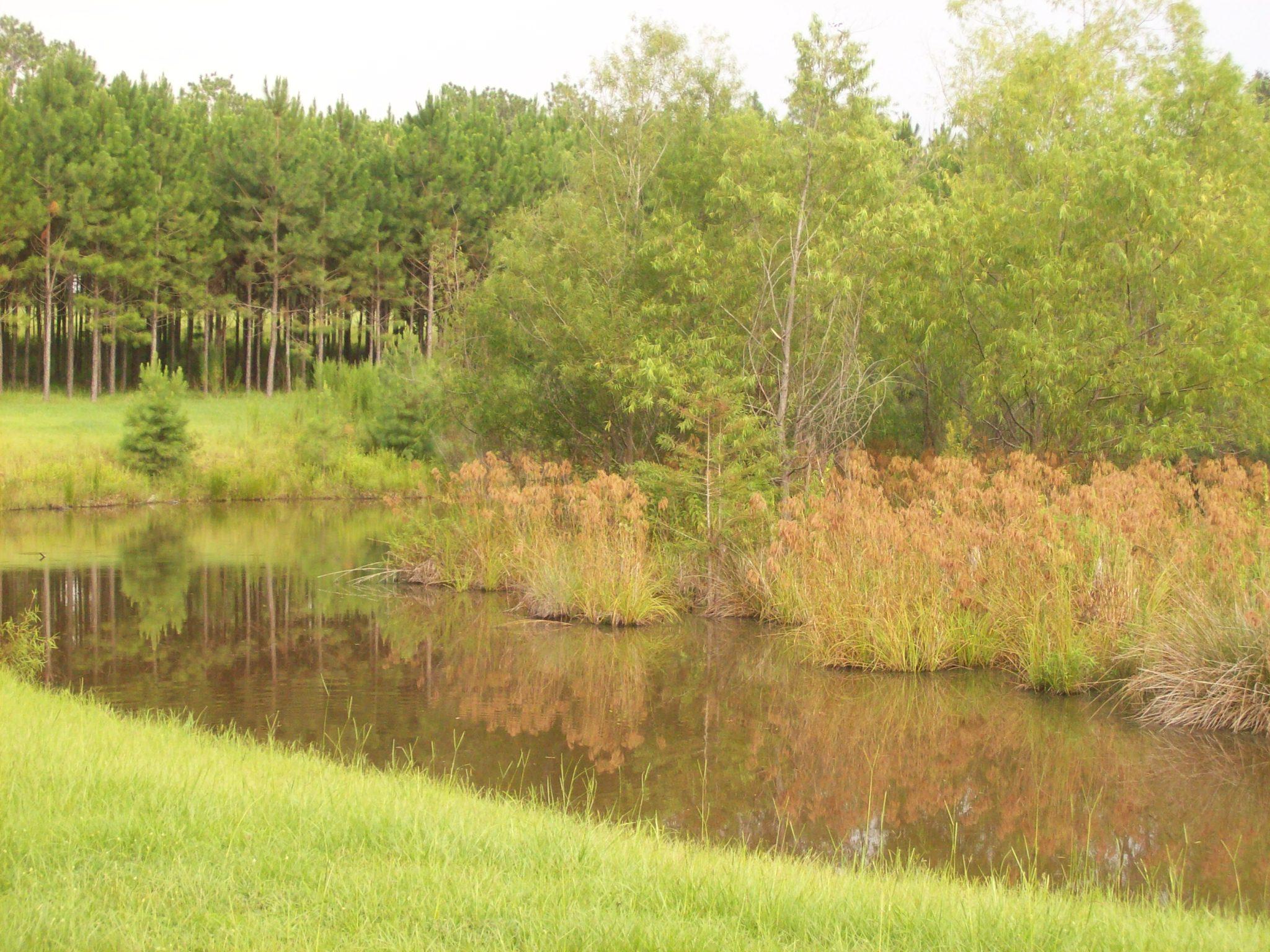 8130 Jordan Road Baker, FL 32531 - Photo 59 of 61 a view of lake from a lake