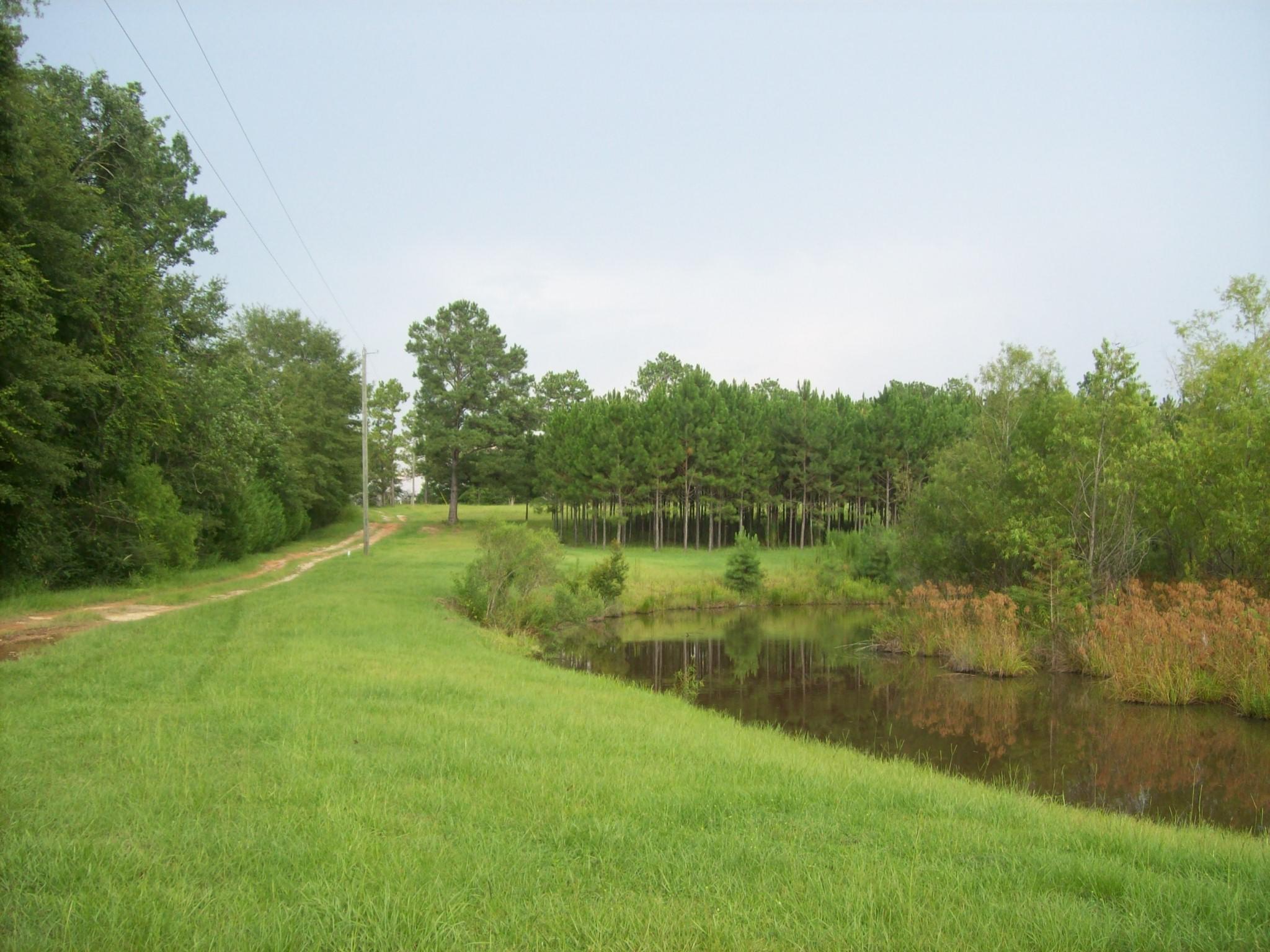 8130 Jordan Road Baker, FL 32531 - Photo 60 of 61 a view of a lake from a yard