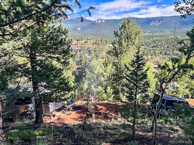 272 Wise Road Bailey, CO 80421 - Photo 3 of 21 a view of a bunch of trees