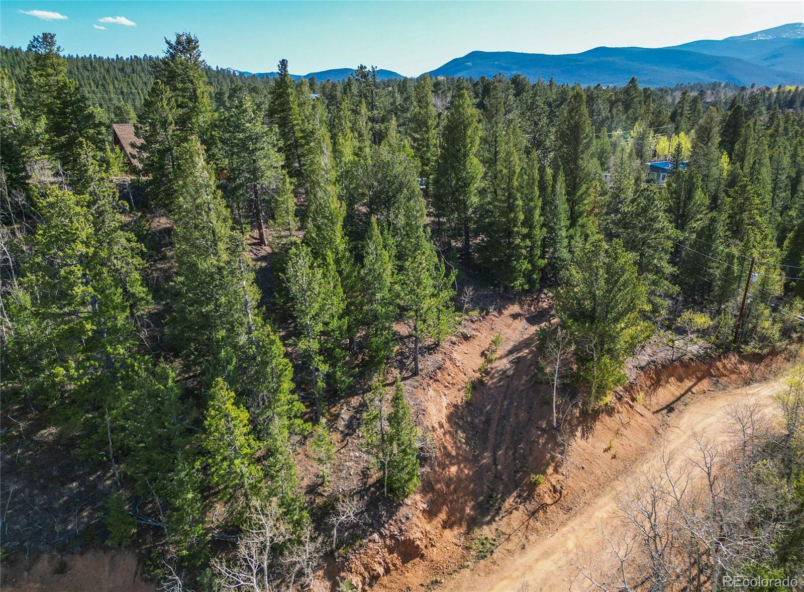 272 Wise Road Bailey, CO 80421 - Photo 9 of 21 a view of a forest with a forest